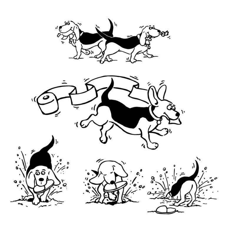 Phil the Dog Illustrations